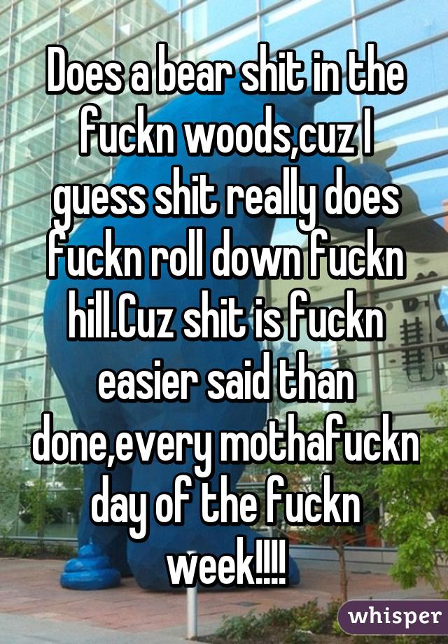 Does a bear shit in the fuckn woods,cuz I guess shit really does fuckn roll down fuckn hill.Cuz shit is fuckn easier said than done,every mothafuckn day of the fuckn week!!!!