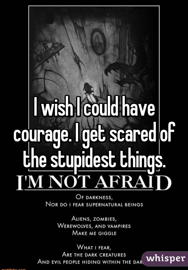 I wish I could have courage. I get scared of the stupidest things.