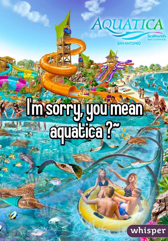 I'm sorry, you mean aquatica ?~