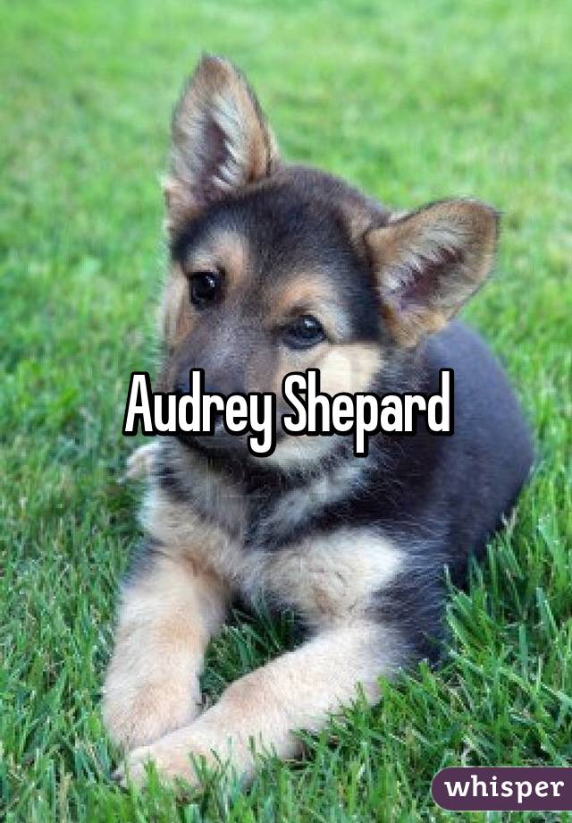 Audrey Shepard