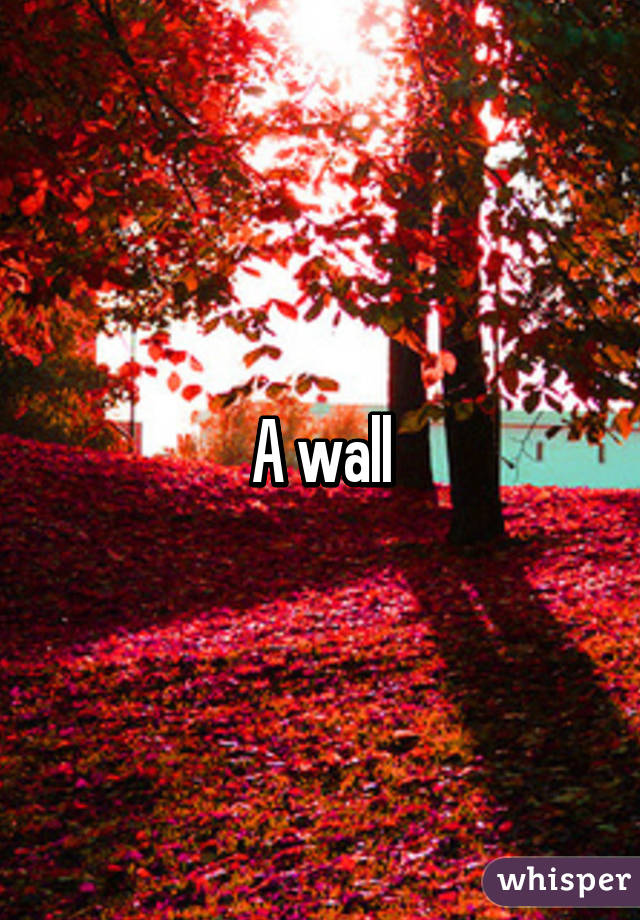 A wall