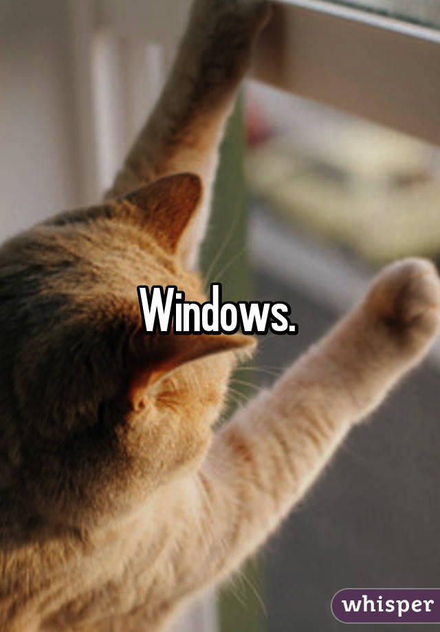 Windows. 