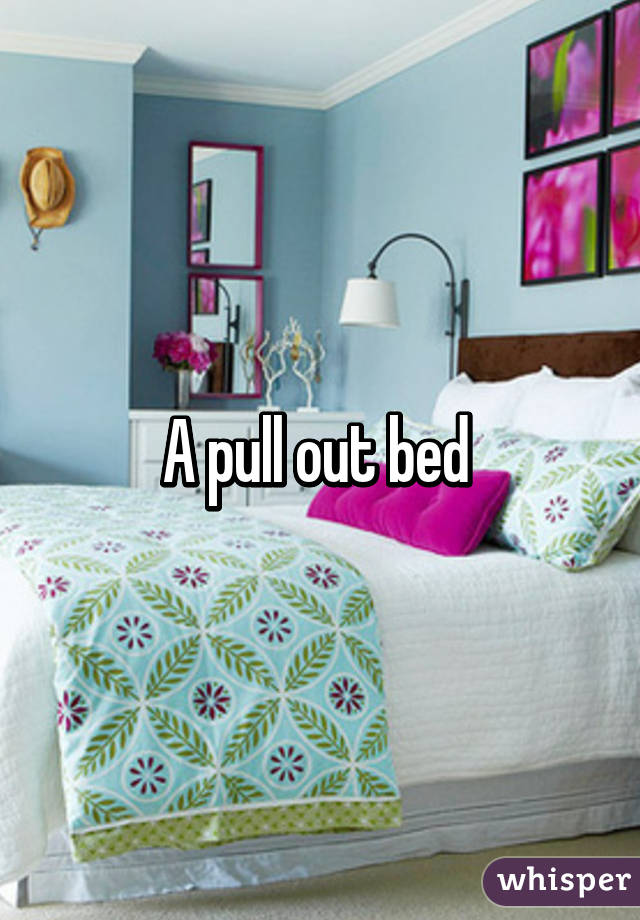 A pull out bed 