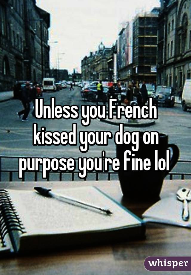 Unless you French kissed your dog on purpose you're fine lol 