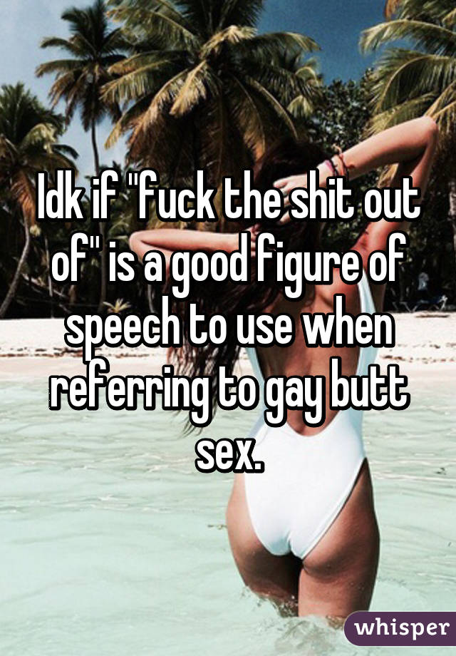 Idk if "fuck the shit out of" is a good figure of speech to use when referring to gay butt sex.