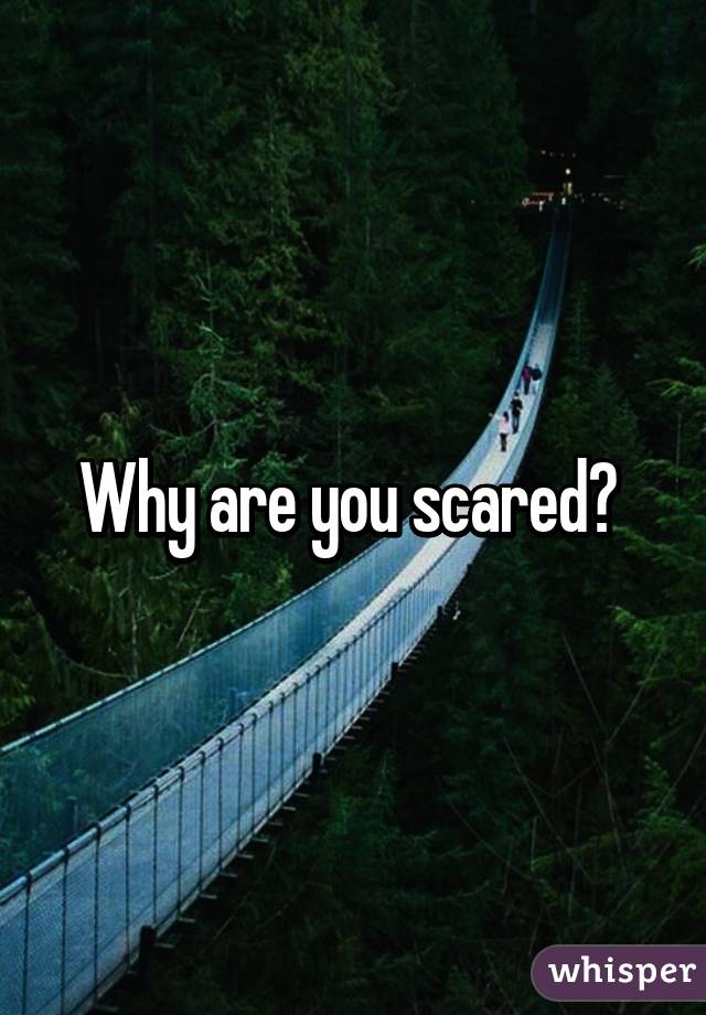 Why are you scared? 