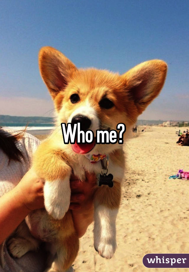 Who me? 