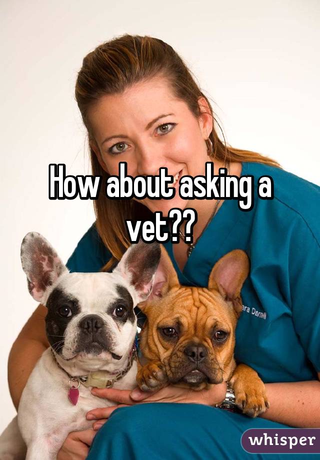 How about asking a vet??

