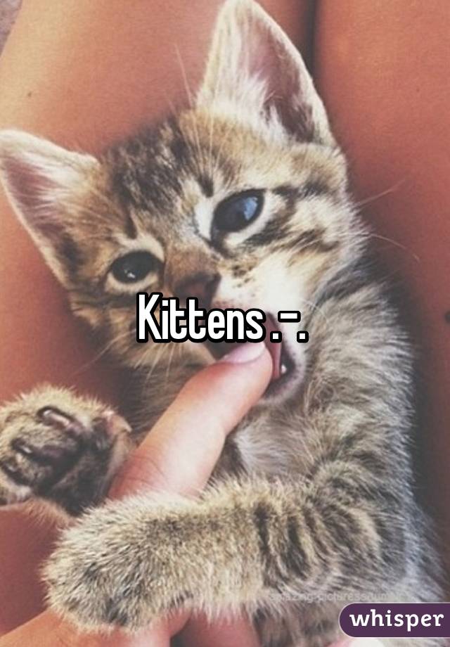 Kittens .-. 