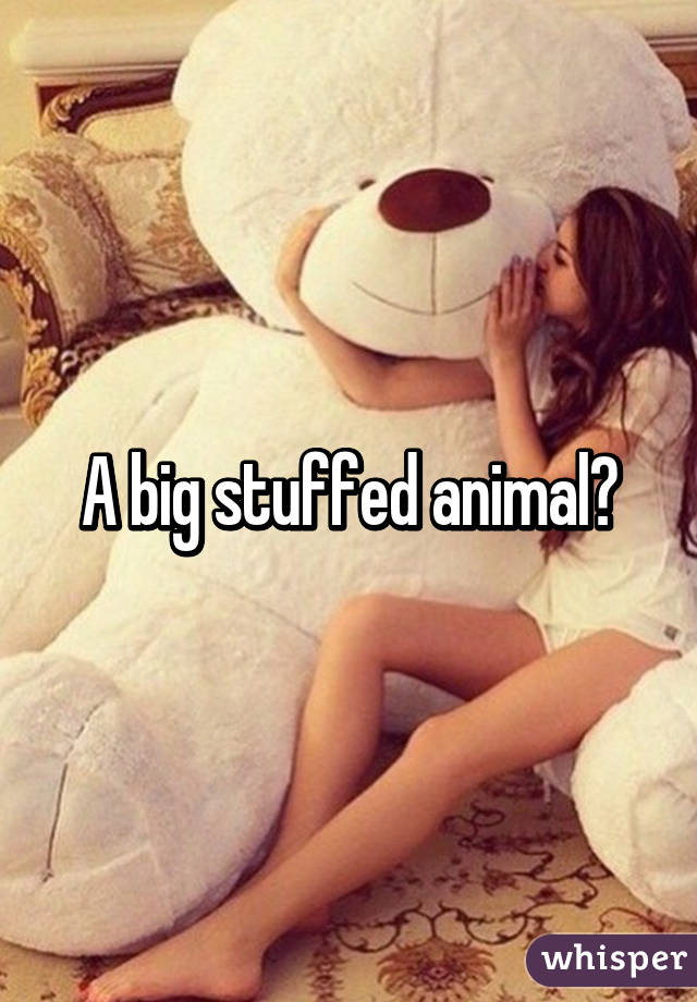 A big stuffed animal?