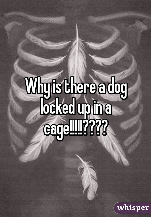 Why is there a dog locked up in a cage!!!!!????