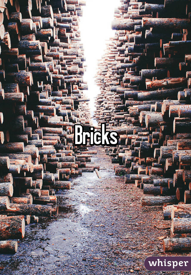 Bricks