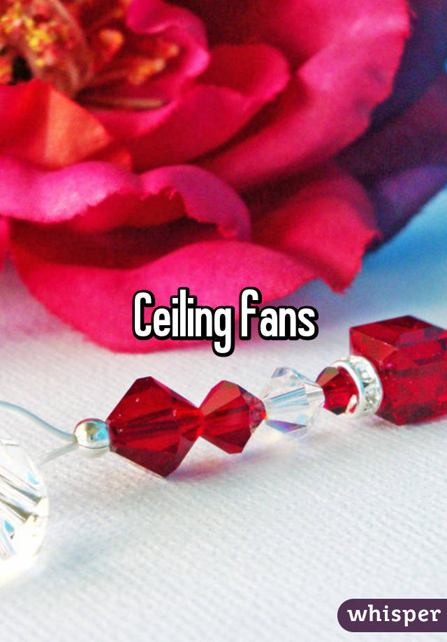 Ceiling fans