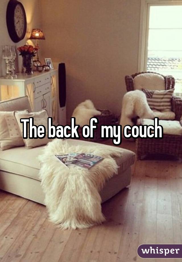 The back of my couch