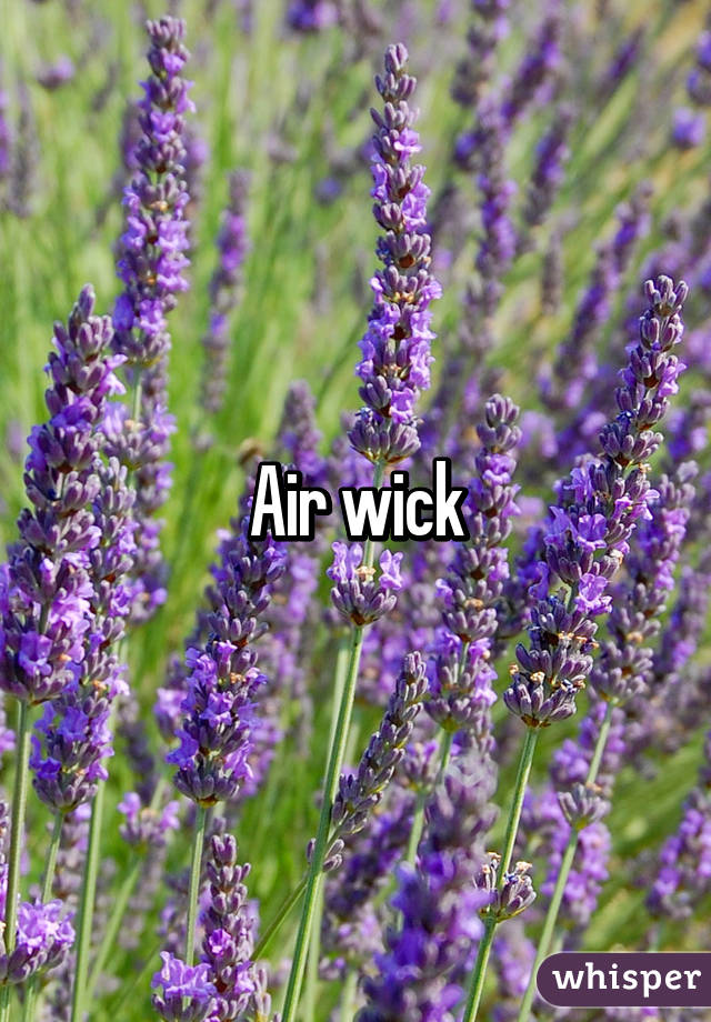 Air wick