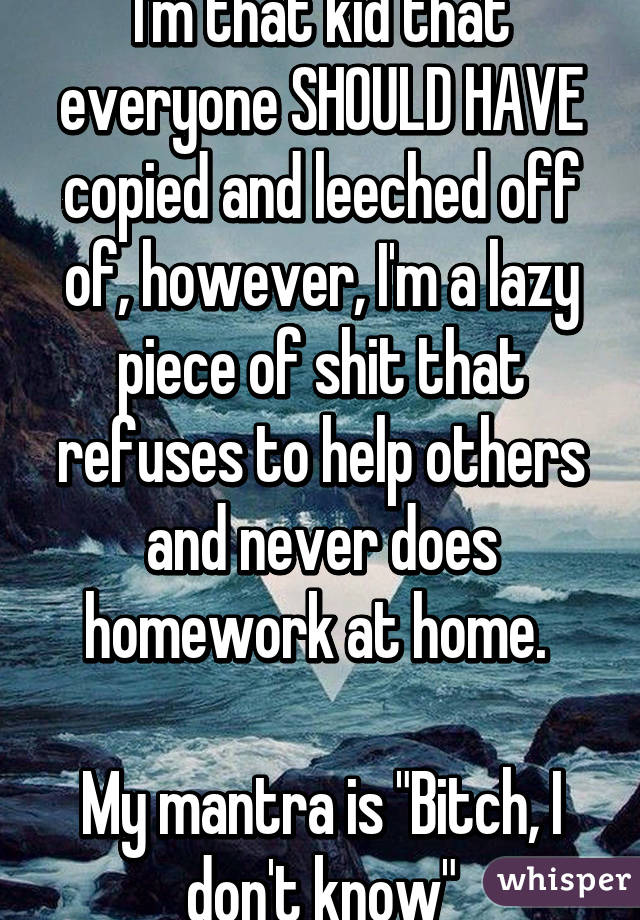 I'm that kid that everyone SHOULD HAVE copied and leeched off of, however, I'm a lazy piece of shit that refuses to help others and never does homework at home. 

My mantra is "Bitch, I don't know"