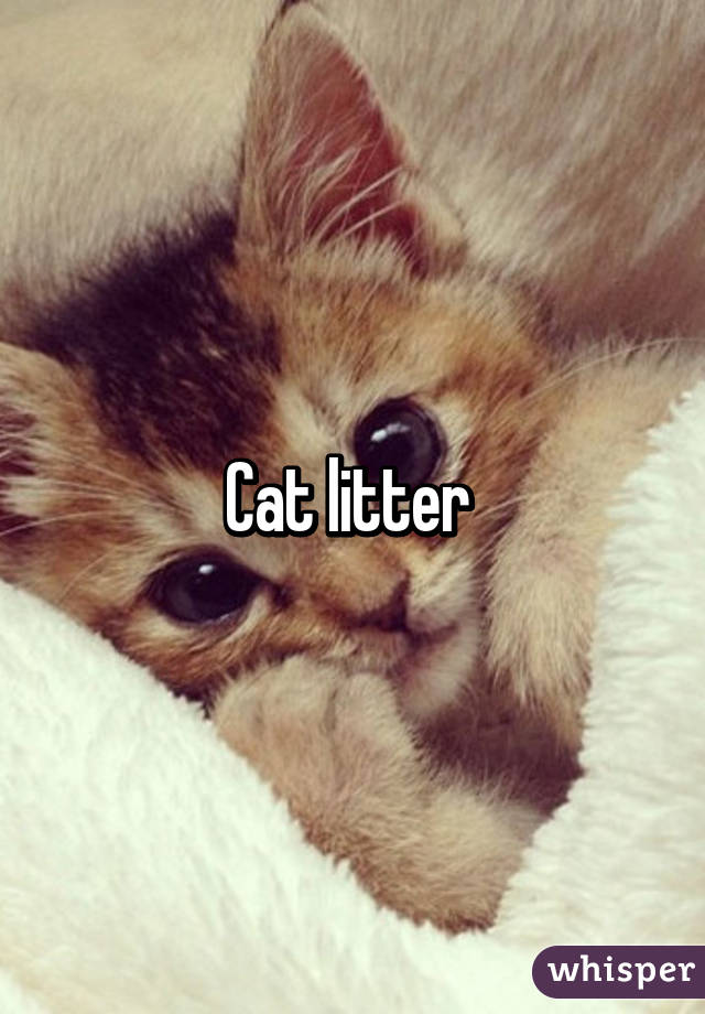 Cat litter 