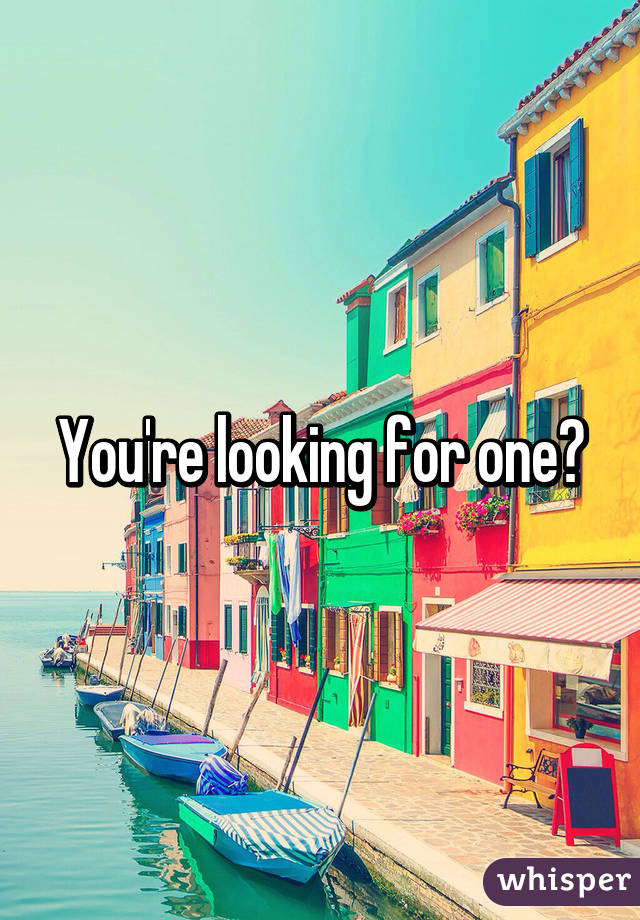 You're looking for one?