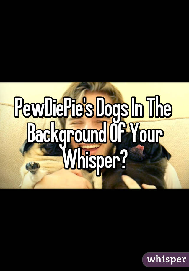 PewDiePie's Dogs In The  Background Of Your Whisper😍