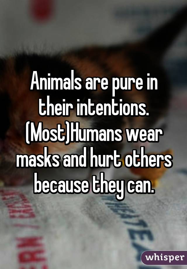 Animals are pure in their intentions.
(Most)Humans wear masks and hurt others because they can.