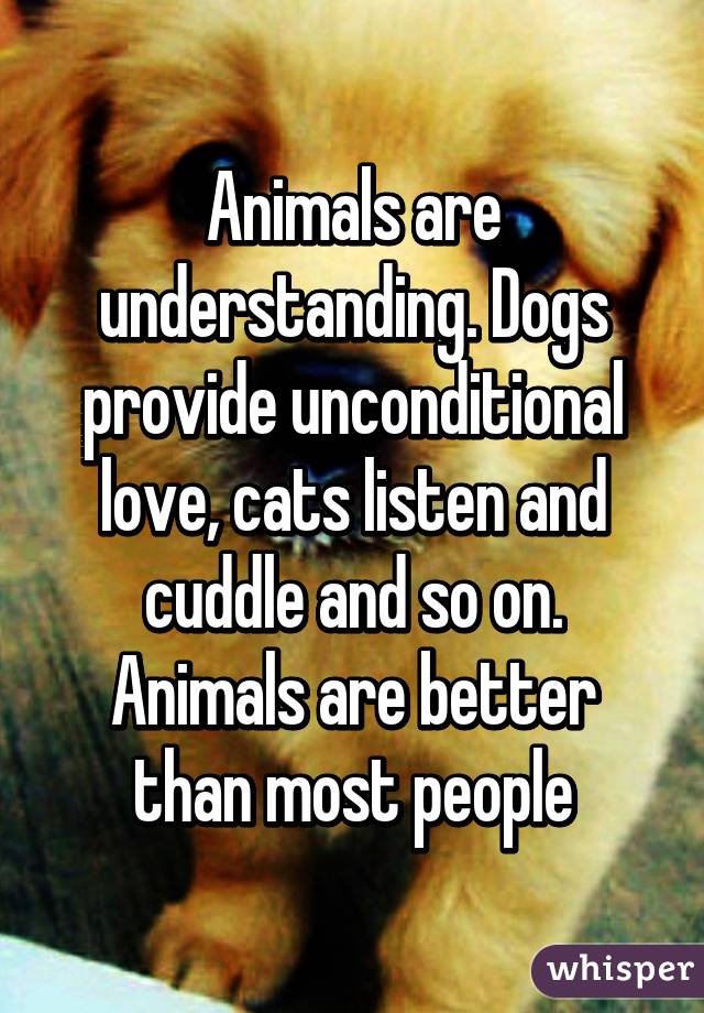 Animals are understanding. Dogs provide unconditional love, cats listen and cuddle and so on. Animals are better than most people