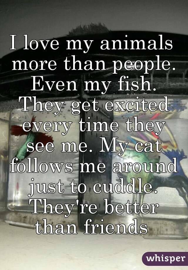 I love my animals more than people. Even my fish. They get excited every time they see me. My cat follows me around just to cuddle. They're better than friends 