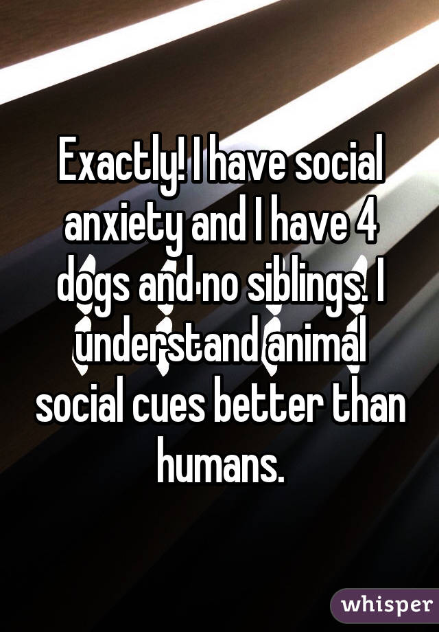 Exactly! I have social anxiety and I have 4 dogs and no siblings. I understand animal social cues better than humans.