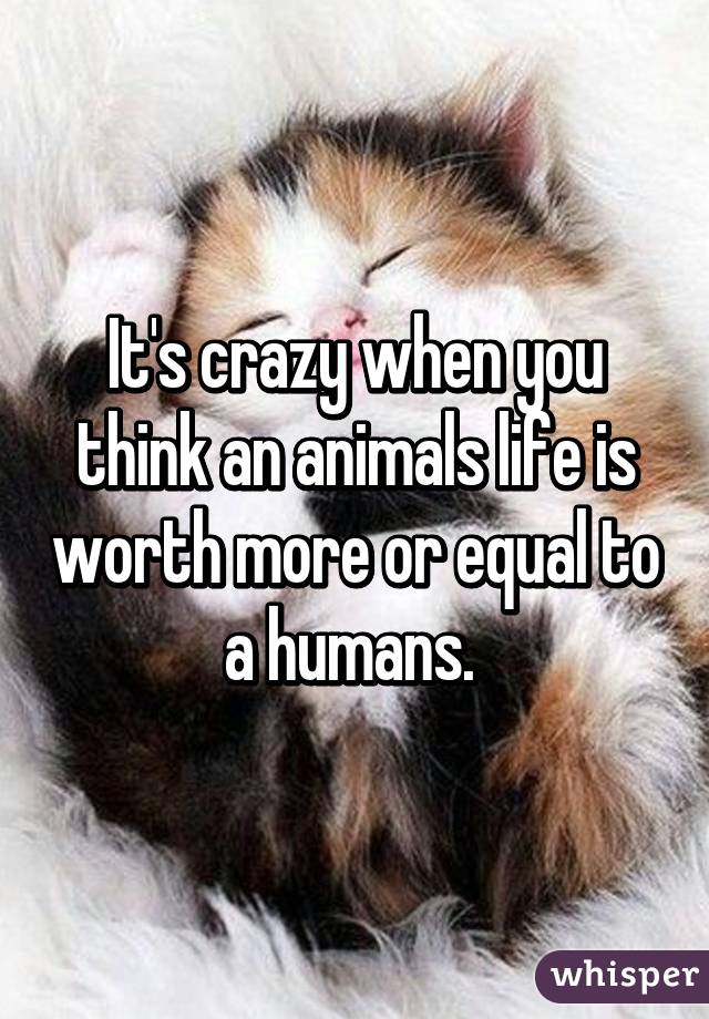 It's crazy when you think an animals life is worth more or equal to a humans. 