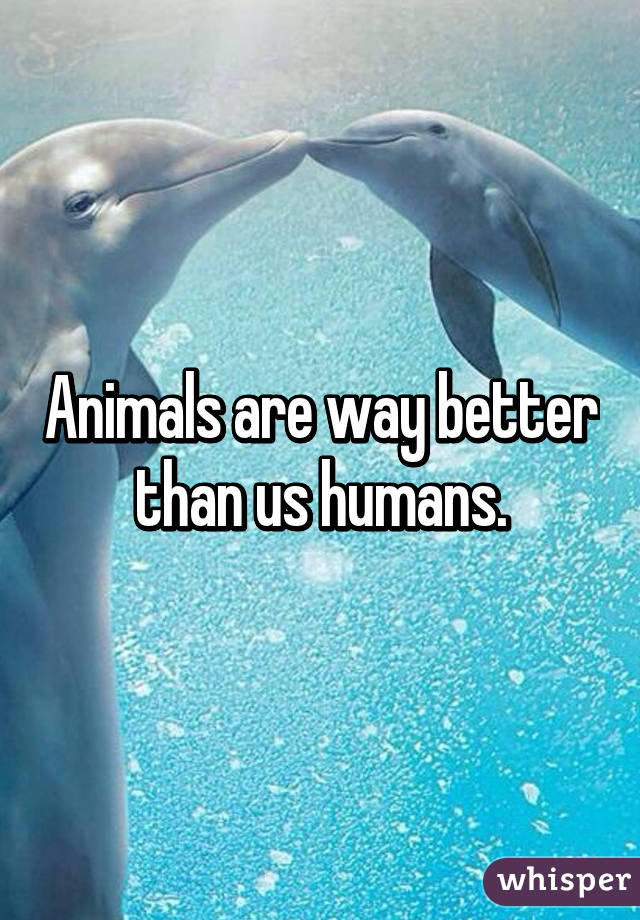 Animals are way better than us humans.