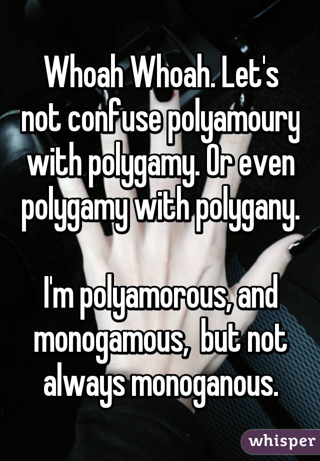 Whoah Whoah. Let's not confuse polyamoury with polygamy. Or even polygamy with polygany.

I'm polyamorous, and monogamous,  but not always monoganous.