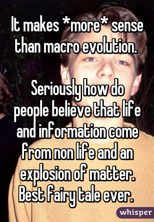 It makes *more* sense than macro evolution. 

Seriously how do people believe that life and information come from non life and an explosion of matter. Best fairy tale ever. 