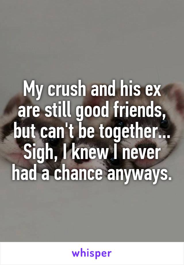 My crush and his ex are still good friends, but can't be together... Sigh, I knew I never had a chance anyways.