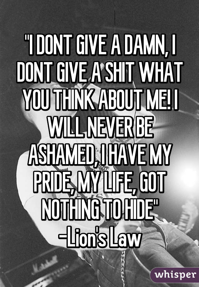 "I DONT GIVE A DAMN, I DONT GIVE A SHIT WHAT YOU THINK ABOUT ME! I WILL NEVER BE ASHAMED, I HAVE MY PRIDE, MY LIFE, GOT NOTHING TO HIDE"
-Lion's Law