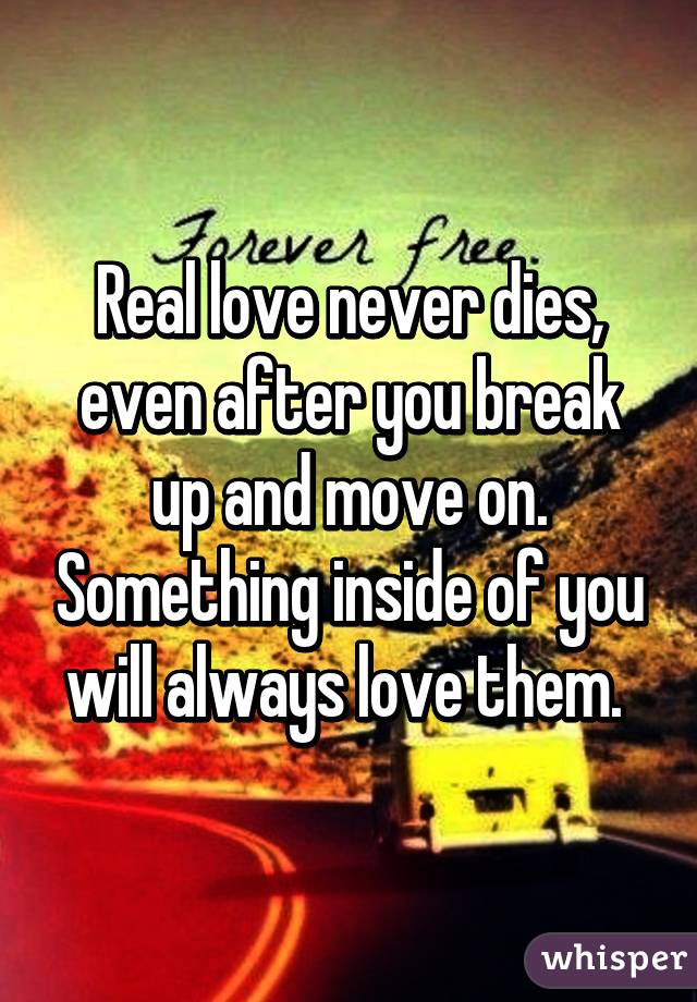 Real love never dies, even after you break up and move on. Something inside of you will always love them. 