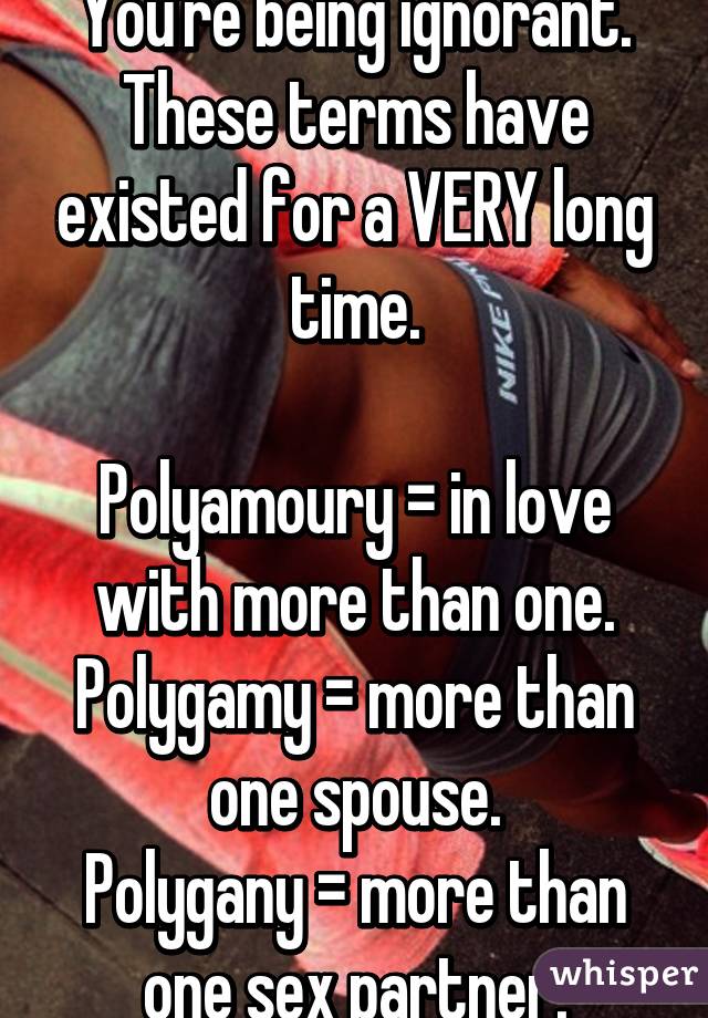 You're being ignorant. These terms have existed for a VERY long time.

Polyamoury = in love with more than one.
Polygamy = more than one spouse.
Polygany = more than one sex partner.