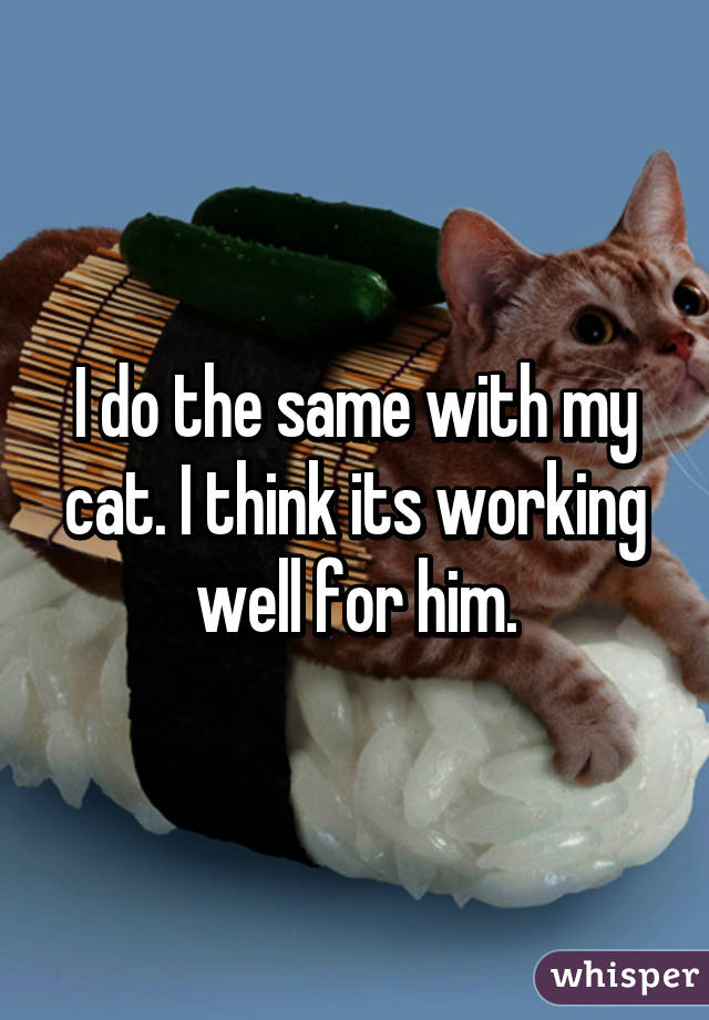 I do the same with my cat. I think its working well for him.