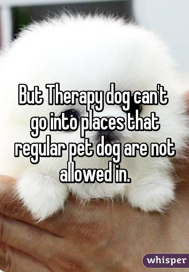 But Therapy dog can't  go into places that regular pet dog are not allowed in.