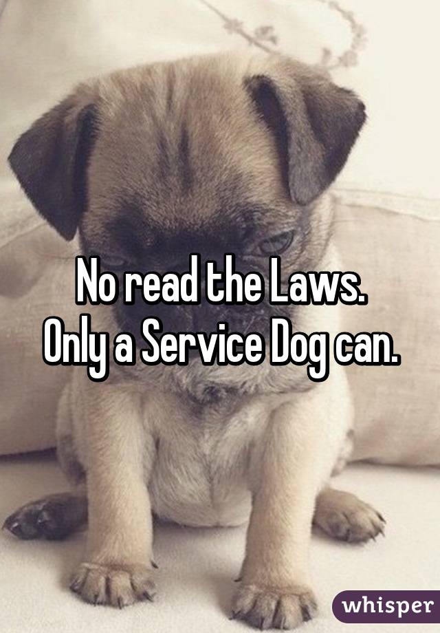 No read the Laws.
Only a Service Dog can.