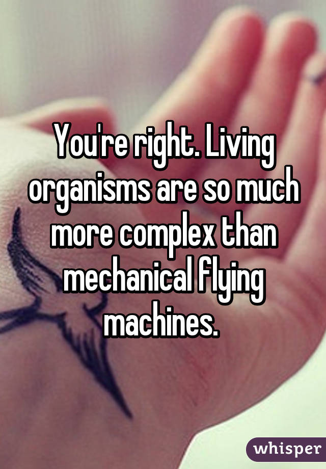 You're right. Living organisms are so much more complex than mechanical flying machines. 