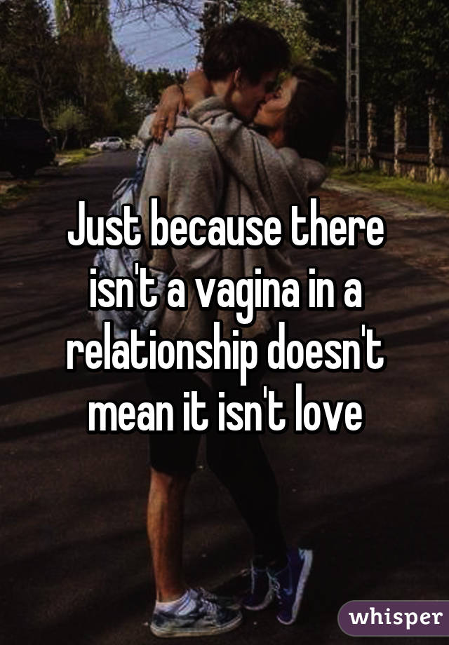 Just because there isn't a vagina in a relationship doesn't mean it isn't love