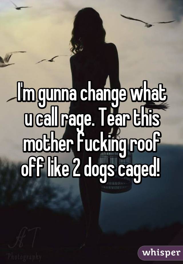I'm gunna change what u call rage. Tear this mother fucking roof off like 2 dogs caged! 