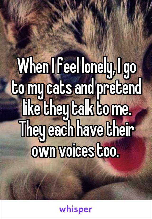 When I feel lonely, I go to my cats and pretend like they talk to me. They each have their own voices too. 