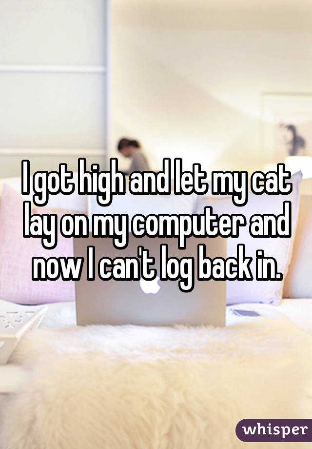 I got high and let my cat lay on my computer and now I can't log back in.
