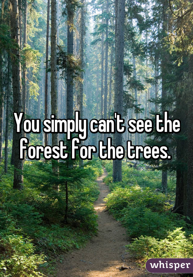 You simply can't see the forest for the trees.