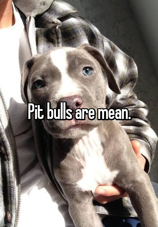 Pit bulls are mean.