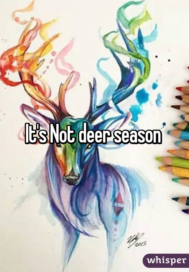 It's Not deer season 