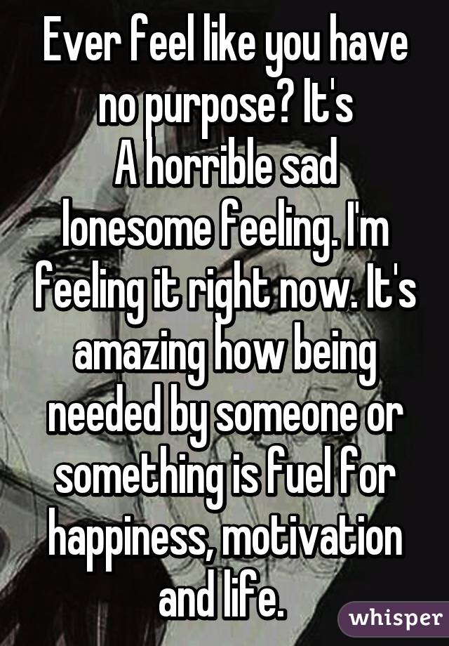 Ever feel like you have no purpose? It's
A horrible sad lonesome feeling. I'm feeling it right now. It's amazing how being needed by someone or something is fuel for happiness, motivation and life. 