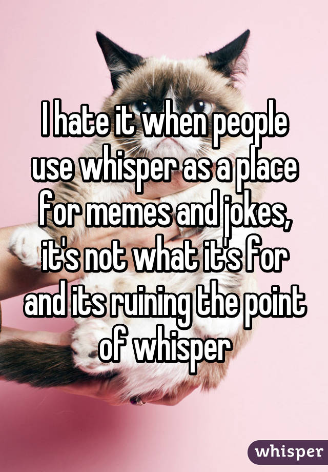 I hate it when people use whisper as a place for memes and jokes, it's not what it's for and its ruining the point of whisper