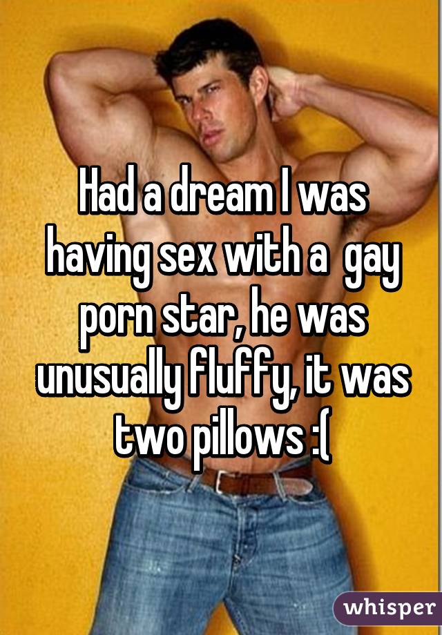 Had a dream I was having sex with a  gay porn star, he was unusually fluffy, it was two pillows :(