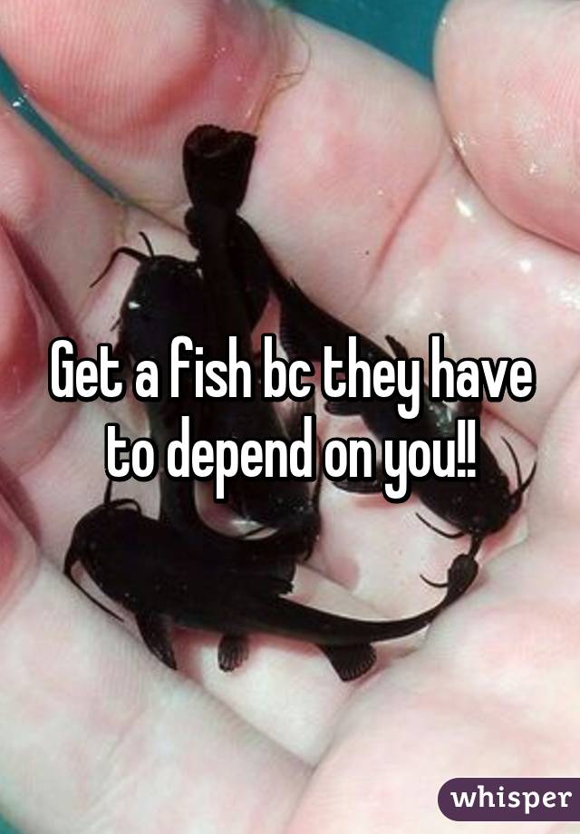 Get a fish bc they have to depend on you!!